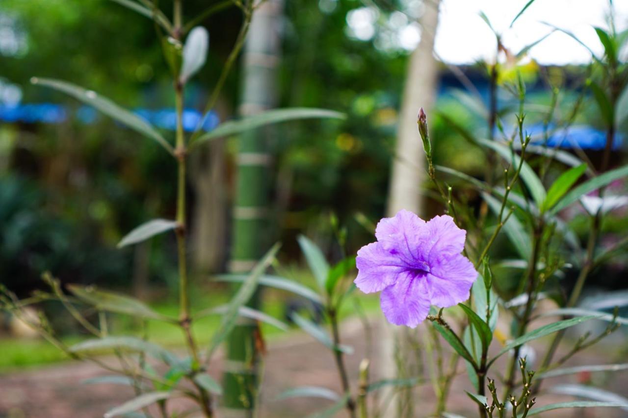 Smiley Frog Apartment Kanchanaburi Ngoại thất bức ảnh